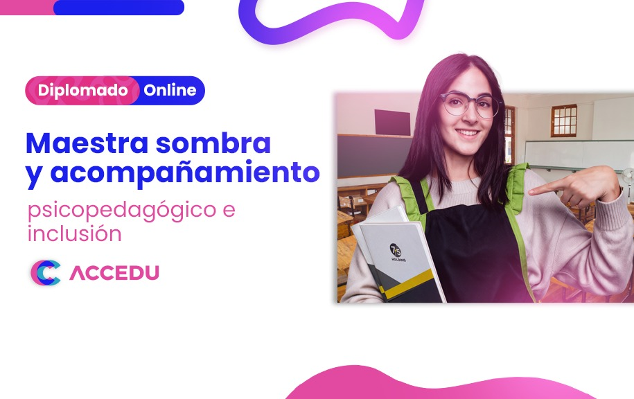 Maestra Sombra y Acompañamiento Psicopedagógico en Inclusión